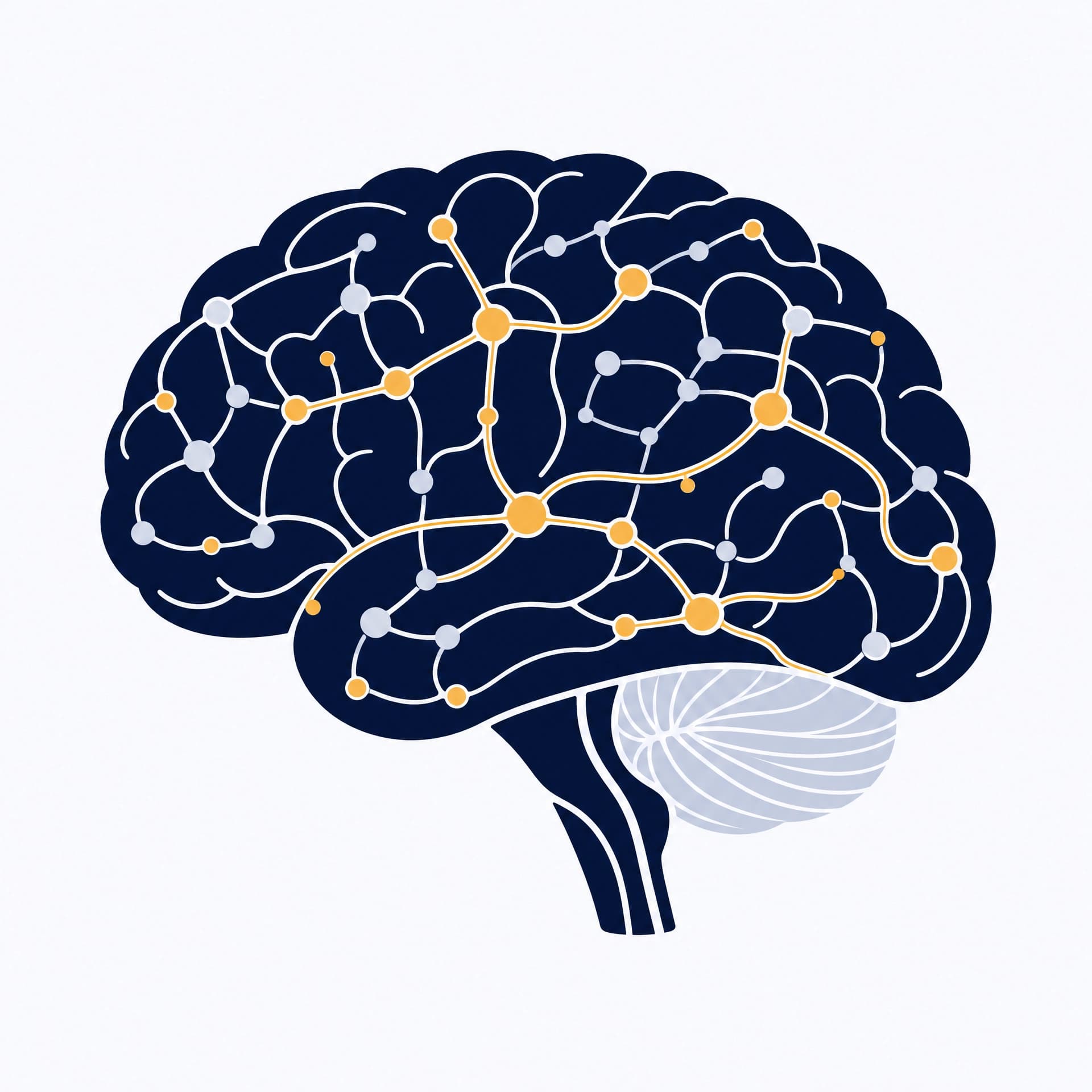 Neural pathways forming an integrated network in the brain