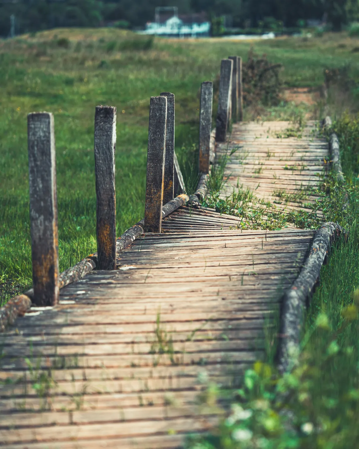 A weathered wooden boardwalk stretching through a green meadow, still standing and still walked