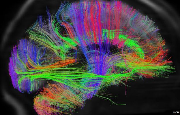 Assessing coherence across the five fractures